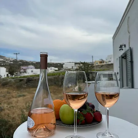 Nicole Santorini Vóthon