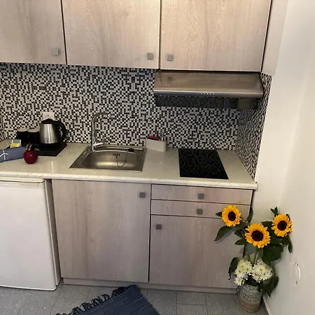 Nicole Santorini Affittacamere Vóthon