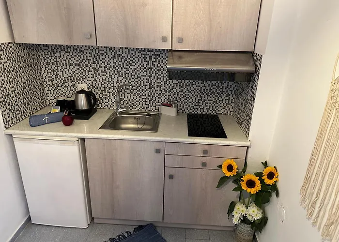 Nicole Santorini Penzion Vóthon